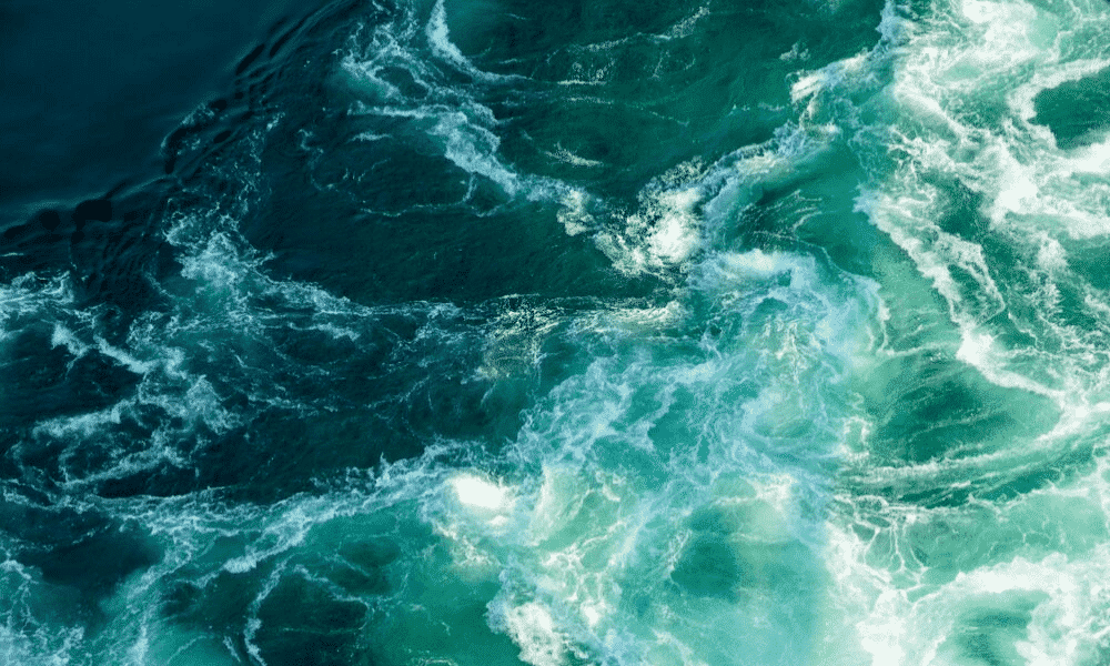 Journée Mondiale de la Mer : traiter ses eaux usées pour ne pas polluer