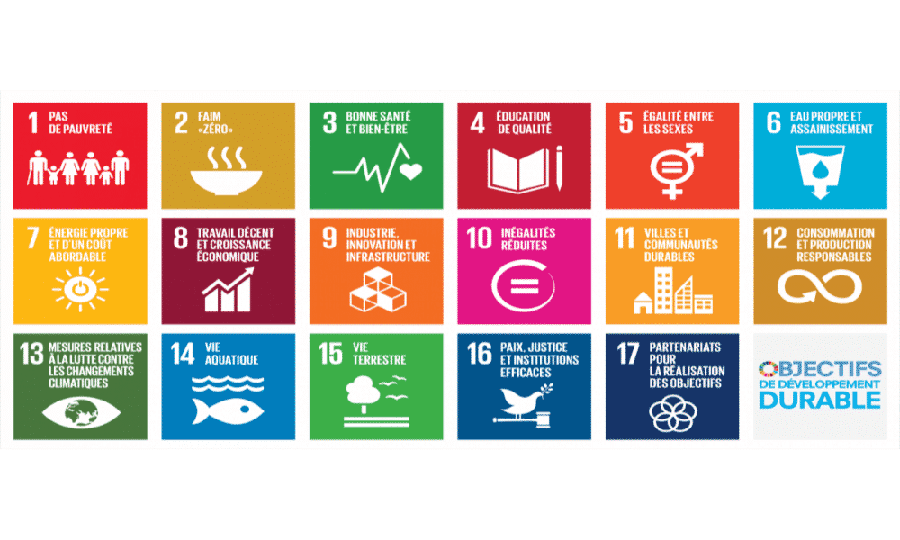 Les objectifs de développement durable : quels sont-ils ?