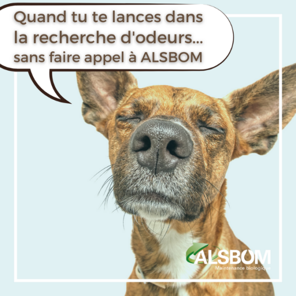 Économies d’énergies