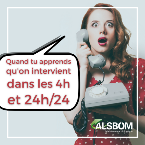 La recherche d’odeurs