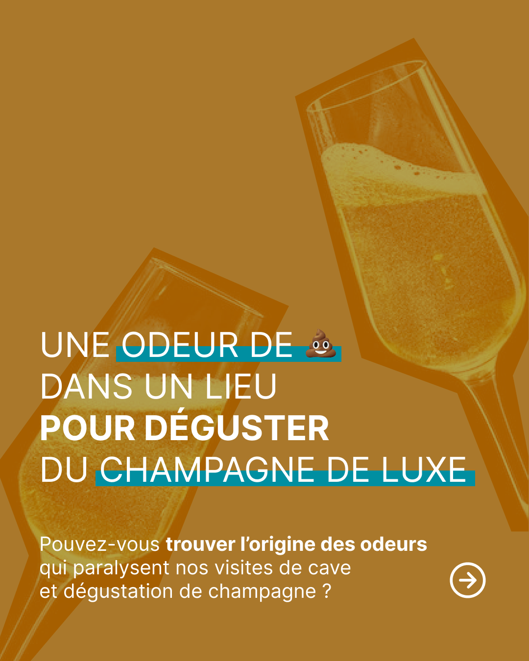 Une mauvaise odeur de canalisation dans une maison de champagne