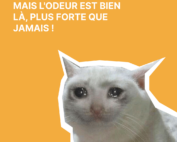 Toujours aucune fumée visible, mais l'odeur est bien là, plus forte que jamais !