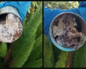 odeur canalisation bouchée